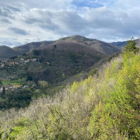 Casa Vacanze Giuliana Villore Екстериор снимка