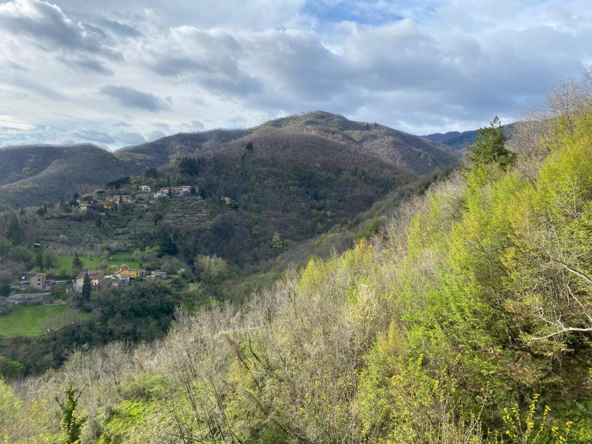 Casa Vacanze Giuliana Villore Екстериор снимка
